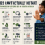 12 Things South African Employers Do That Are Completely Illegal